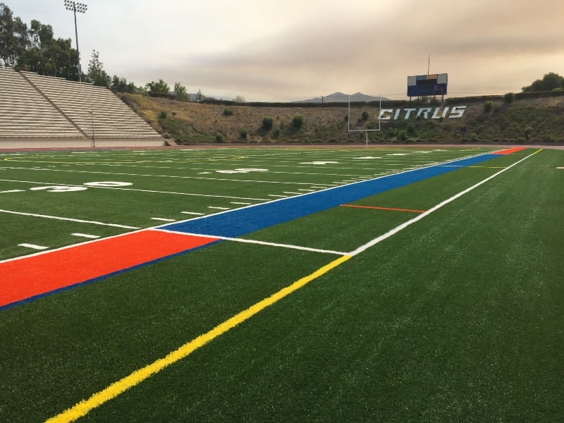stadium turf